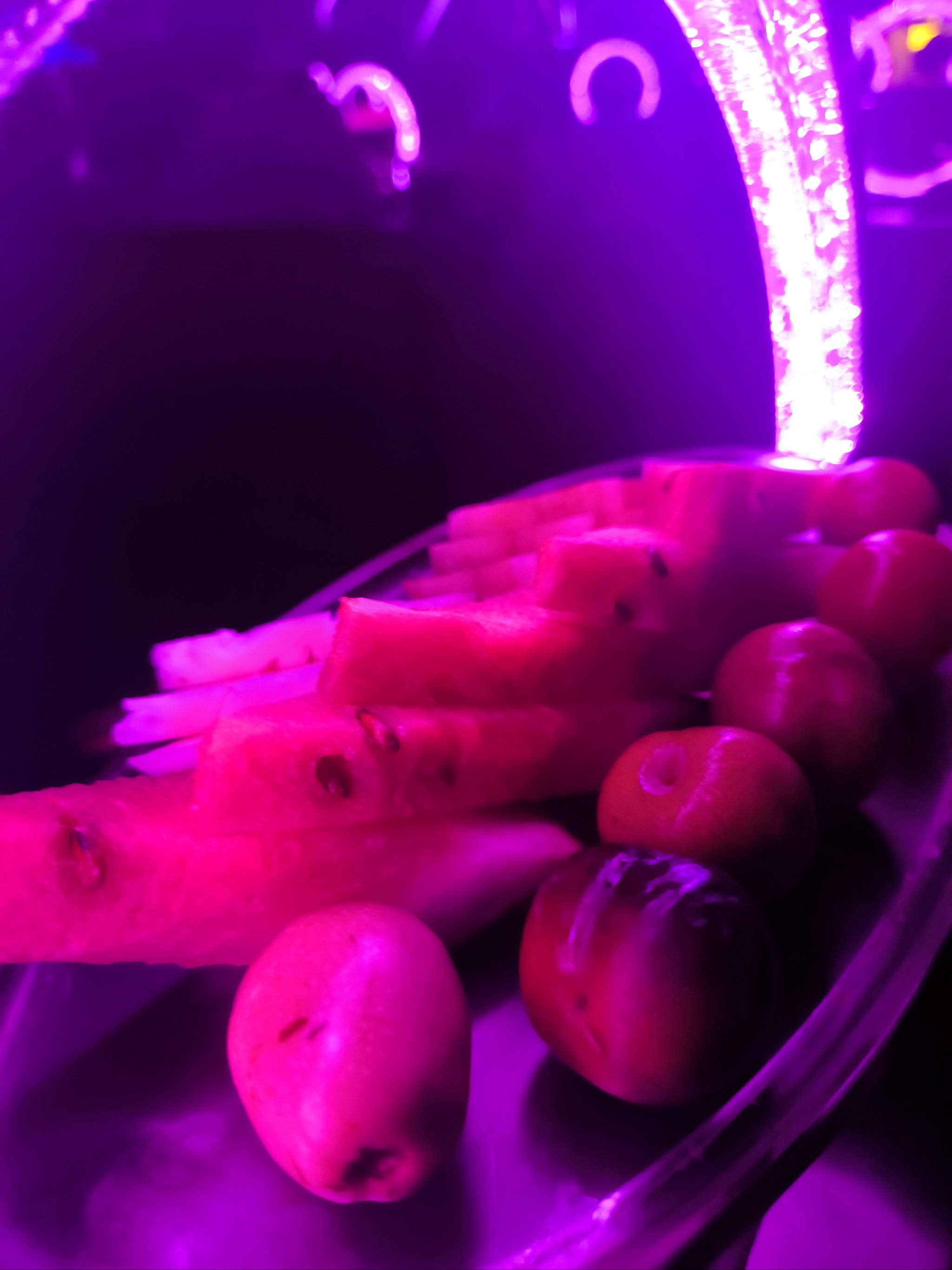 毕节商务ktv推荐及商务ktv有哪些选择-赫章县ktv预定